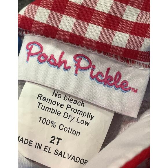 Posh Pickle Raggedy Ann Plaid Dress - Picture 3 of 3